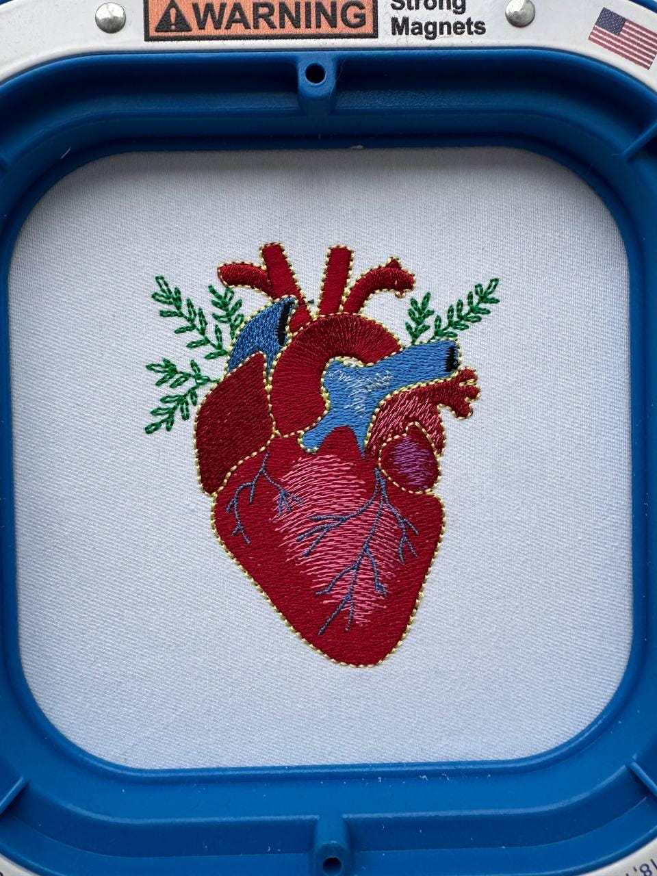 Embroidered Anatomical Heart Hoodie